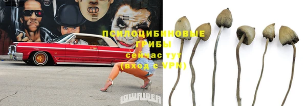 кокс Алексеевка