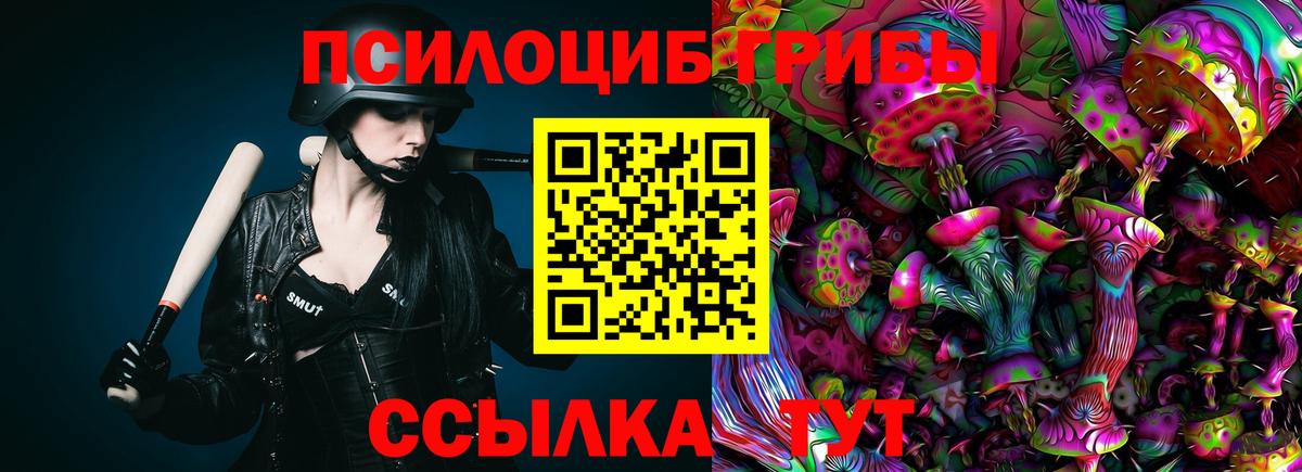 Галлюциногенные грибы Psilocybe  Галлюциногенные грибы прущие грибы  Вход с VPN  Белебей 